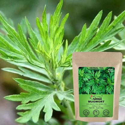 2023 FullChea Dried Mugwort Natural Herb 114g - Superior Dried Mugwort Tea