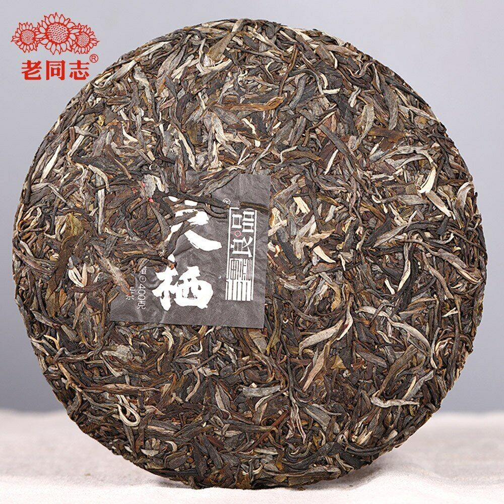 2020 Haiwan The Gathering of Plant Spirit Raw Puer Excellent Shen Puerh Tea 400g