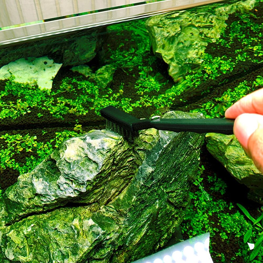 Aquarium Algae Cleaning Brush 3Pcs Steel Wire Nylon Fish Tank Accessory Cleaners