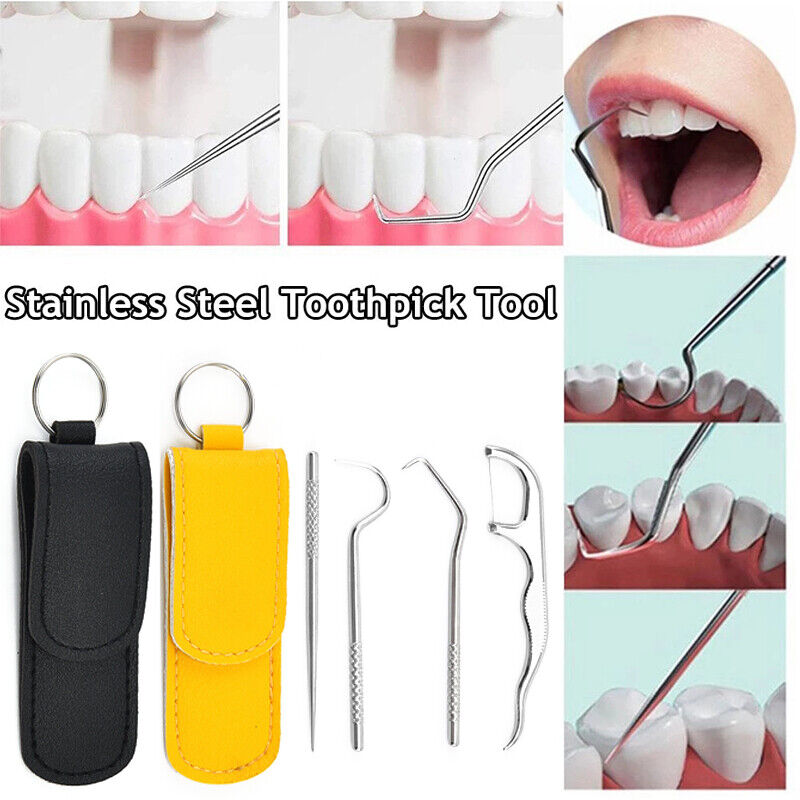 Metal Toothpick Floss With Storage Bag Stainless Steel Teeth Cleaning Oral Care*