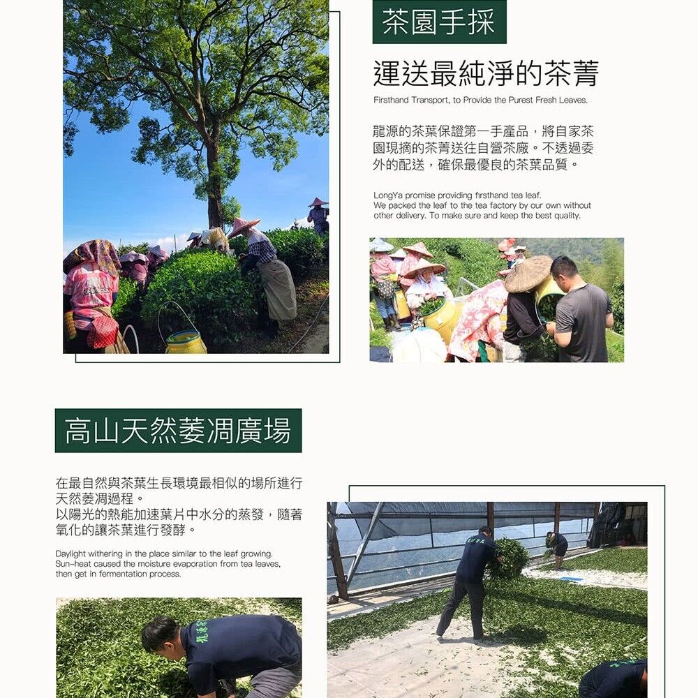 Qilai Mountain Specially Selected High Cold Green Oolong Tea,150g*4
