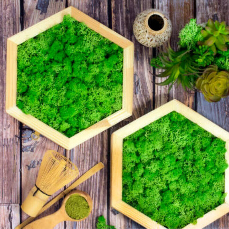 Organic Matcha Green Tea Powder Authentic Japanese Matcha Powder Unsweetened