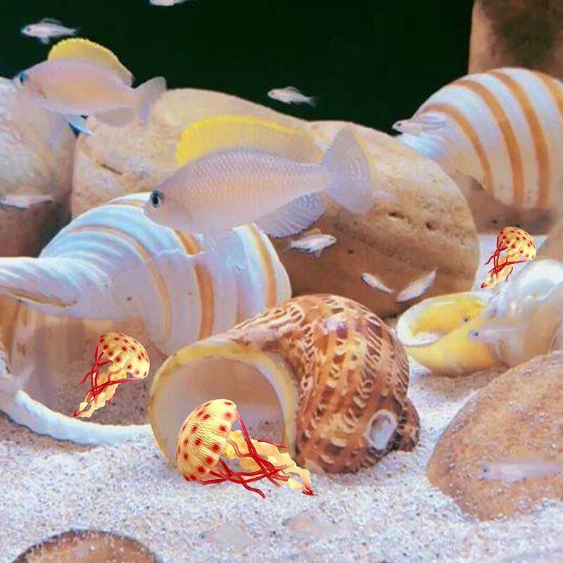Crab Shells Mixed Ocean Hermit DIY Seashell Fish Tank Wedding Decor 4-6cm 11Pcs