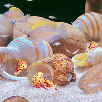 Crab Shells Mixed Ocean Hermit DIY Seashell Fish Tank Wedding Decor 4-6cm 11Pcs