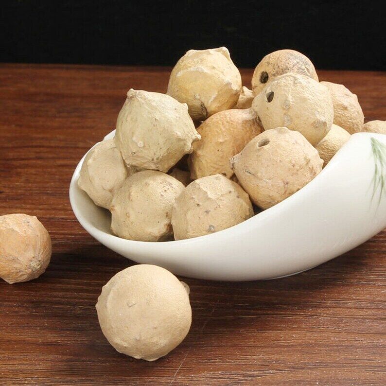 Recommend Dried Aleppo Gall Premium Quercus Infectoria Oliv.