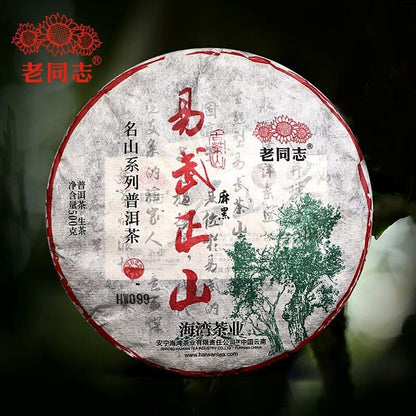 500g 2022 Haiwan Yi Wu Zheng Shan Shen Puerh Ma Hei Ancient Tree Raw Puer Tea