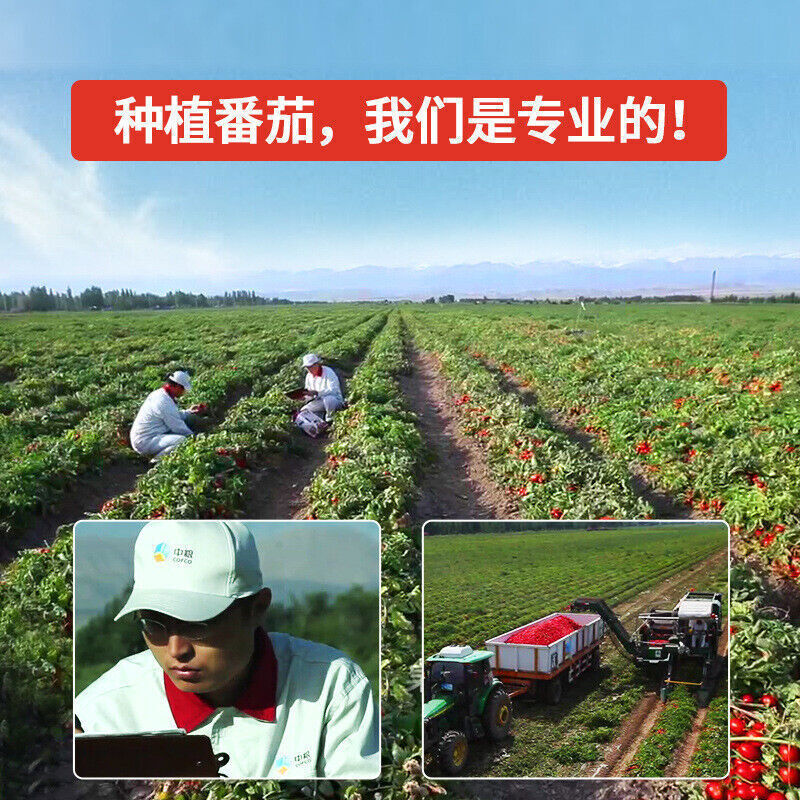 中粮屯河番茄丁390g罐装西红柿块罐头中餐西餐调味酱 Cofco Tunhe Diced Tomatoes 390g