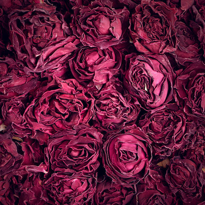 25G Ink Red Rose Tea Valentine's Day Gift Double Rose One Cup Herbal Tea