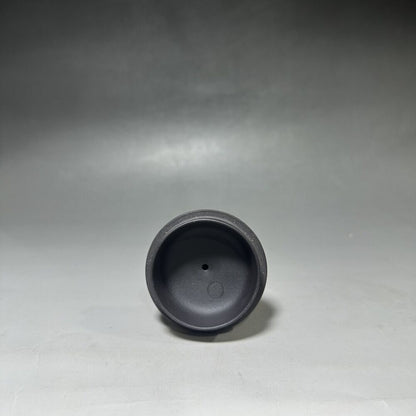 vintage chinese yixing purple clay teapot zisha ceremony carving Collectible art