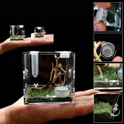 Ant Farms 3Pc Acrylic Clear Spider Insect Breathable Terrarium Reptile Breed Box