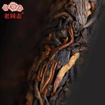Haiwan Shu Puerh Chinese Tea 191 Remote Mountain Old Tree Ripe Puer 500g
