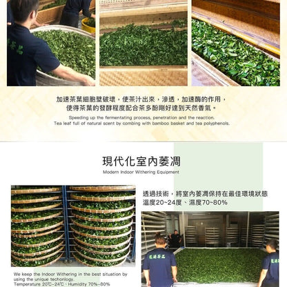 Taiwan unique tea, Lishan Snow Green Bud Tea Fragrance Oolong Tea,150g*4