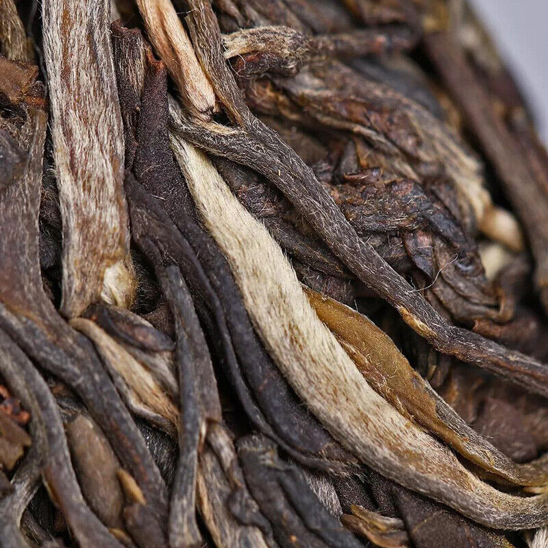 2019 HAIWAN Old Comrade 7548 Pu-erh Tea Cake Lao Tong Zhi Raw Puer Shen 357g