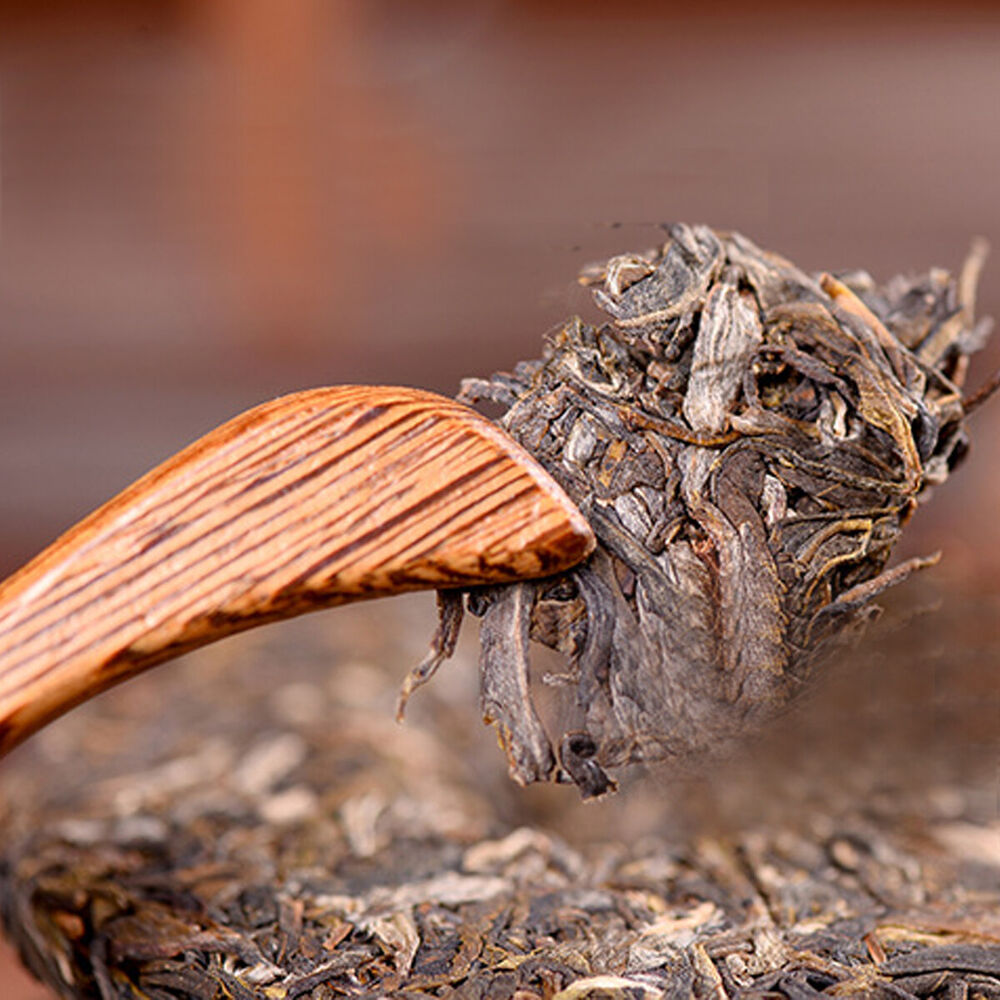 Top Pu-erh Cha Tea High Mountain Wild Old Trees Yunnan Sheng Puerh Tea Cake 100g