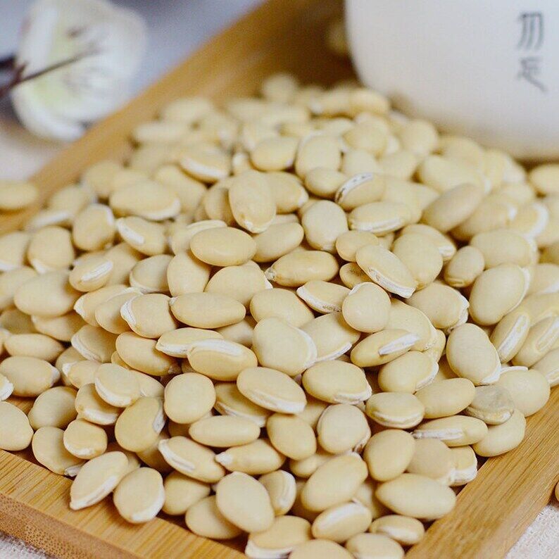 Premium Semen Lablab Album White Lablab Bean Dolichos Lablab Pure Natural Herb