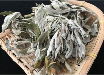 100% Natural Wild Ai Ye Mugwort Leaf Folium Artemisiae Argyi Chinese Herbal Tea