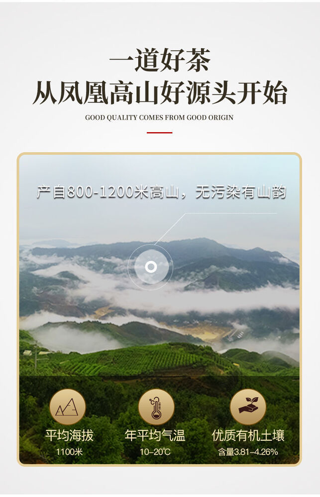 Strong Aroma Duck Poop Scented Tea Head 乌岽潮州凤凰单丛浓香型鸭屎香茶头 单枞蜜兰香