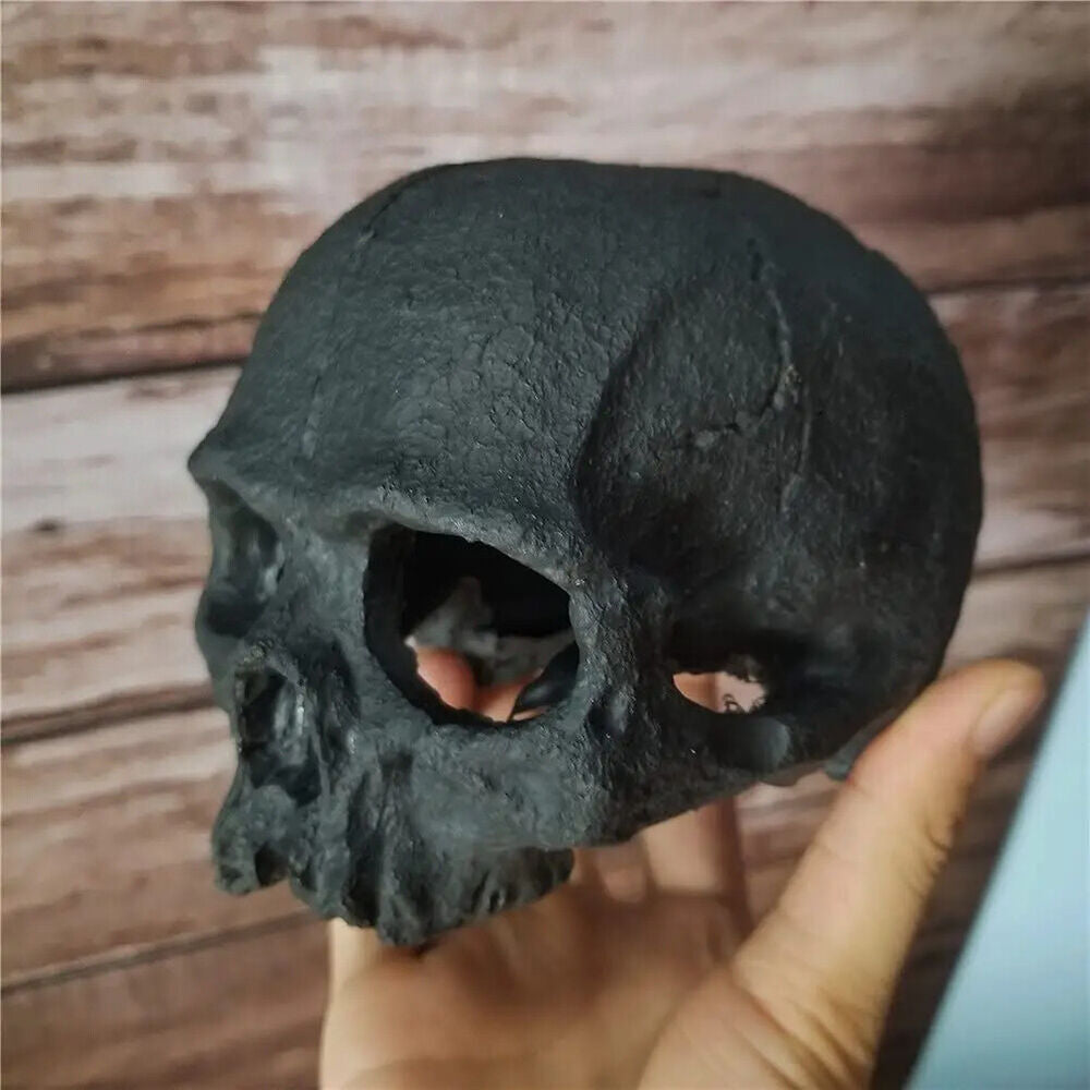 Simulation Head Skeleton Aquarium Resin Decorations Skull Bone Reptile Hide Cave