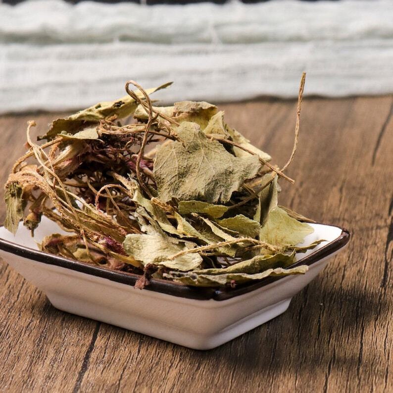 Organic Herbal Saxifraga Stolonifera Herbal Saxifragae Healthy Tea