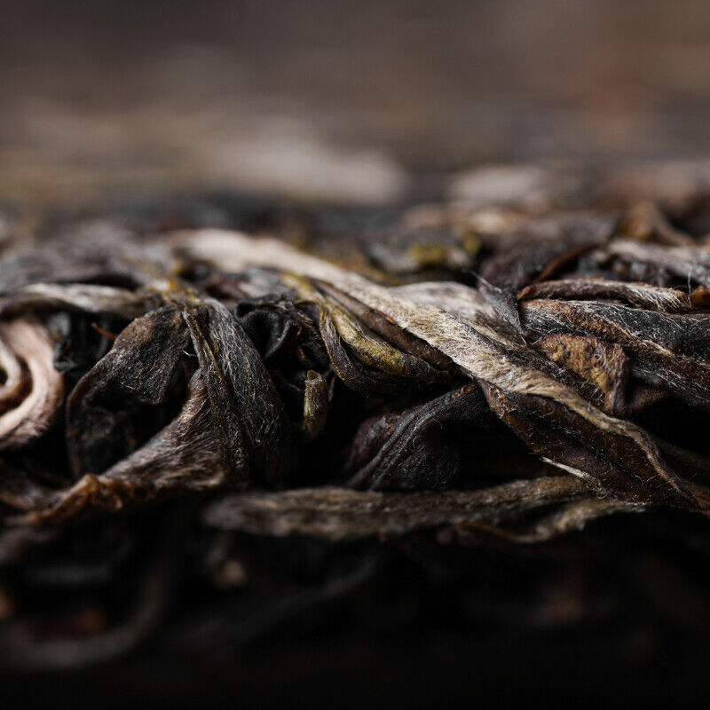 Haiwan Pa Sha Gu Shu Sheng Puer Tea Famous Mountain Aged Tree Raw Puer 500g