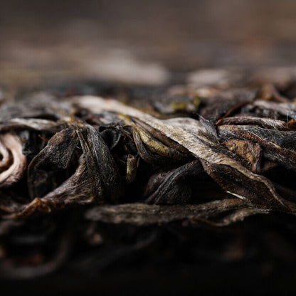 Haiwan Pa Sha Gu Shu Sheng Puer Tea Famous Mountain Aged Tree Raw Puer 500g