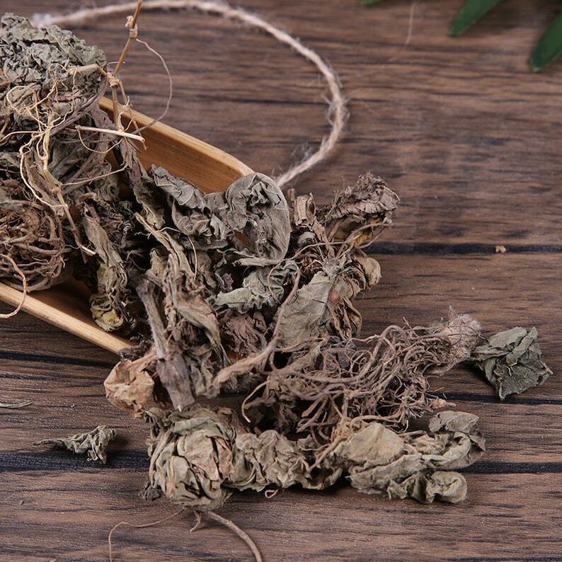 Organic Herbal Elephantopi Di Dan Cao Elephantopus Herb Great Quality