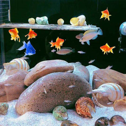 Crab Shells Mixed Ocean Hermit DIY Seashell Fish Tank Wedding Decor 4-6cm 11Pcs