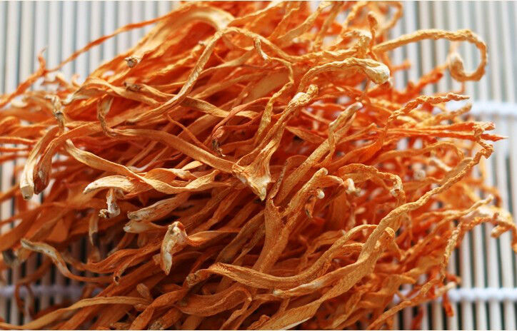 Cordyceps Militaris Chong Cao Hua Herbal Cordyceps Flower Improve Immunity