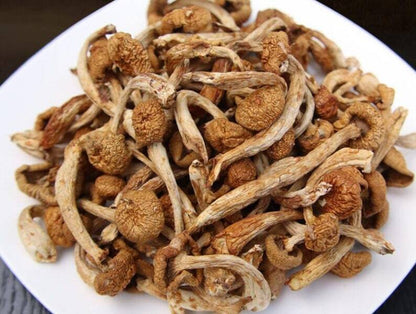 Recommend Pholiota Nameko Premium Dried Nameko Mushroom Very Delicious