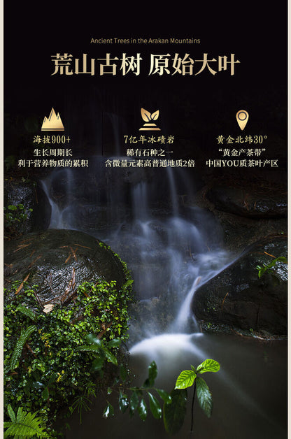 1000g Black Tea Hand Made Brick Tea with Golden Poria 湖南安化正品正宗安华黑茶叶陈年手筑金花茯砖茶天尖料