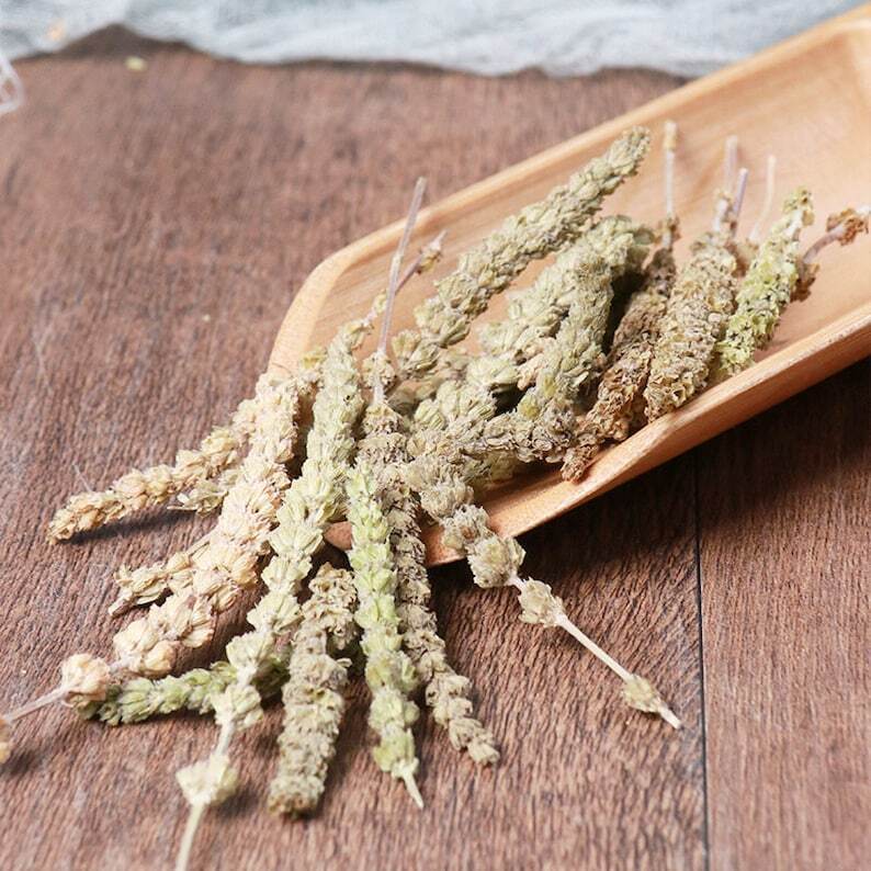Organic Herbal Fineleaf Schizonepeta Herb Herbal Schizonepetae Healthy Tea