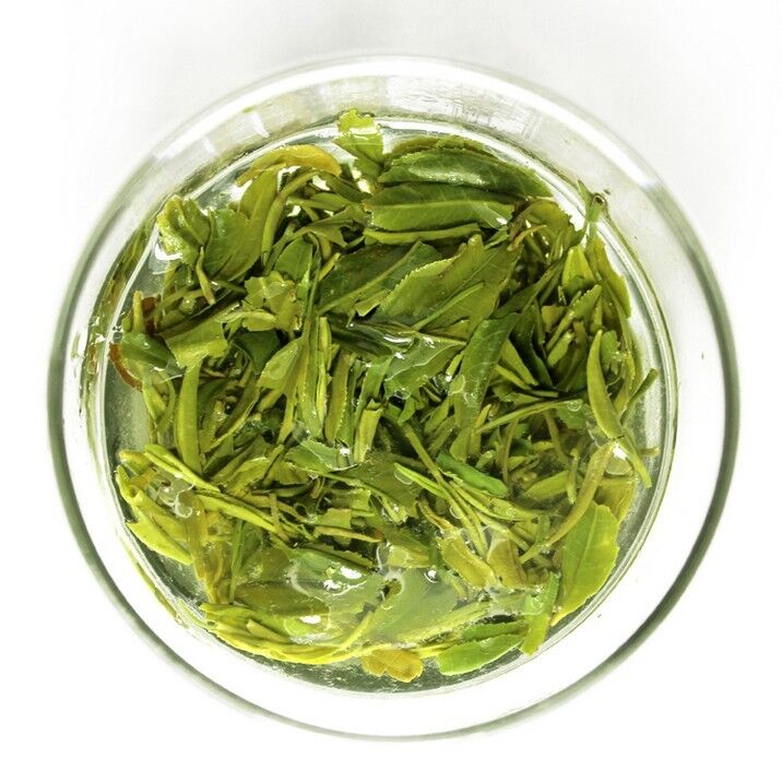 250g,Top Chinese Xue Ya Green Tea,Organic Snow Bud White Tea,xueya 0.5lbs new