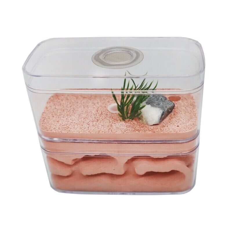 Ant Farm PC Shell+Gypsu Nesting Plaster Insects Box Pet Anthill Castle 12x6x10cm