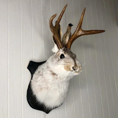 Statue Wall Mount Rabbit Head Hang Sculpture Animal Home New 2023 :))))
