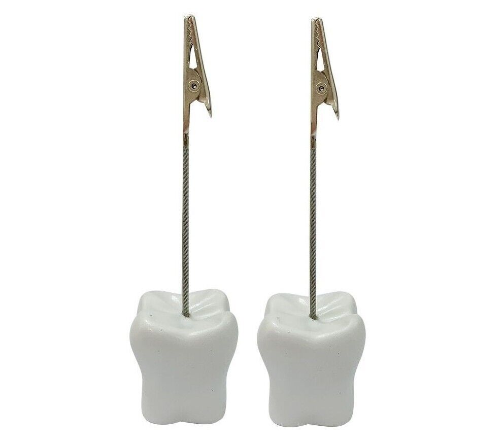 Business Card Holder Tooth Shaped Dental Clinic Desk Decoration Resin 3.5x3x13cm