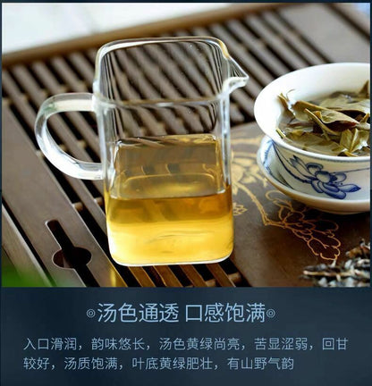 Pu-Erh, Shengjiayuan, Nannuoshan (pure ancient tree material), 2020y, 357g