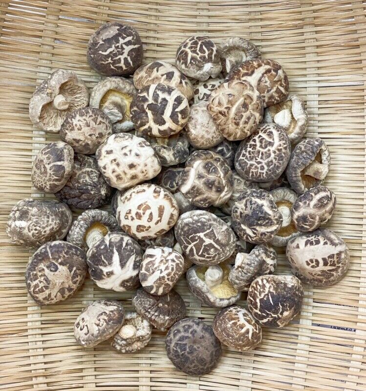 250g Premium Chinese Dried Tea Flower Mushroom Herbal Edible Fungi Bag Package