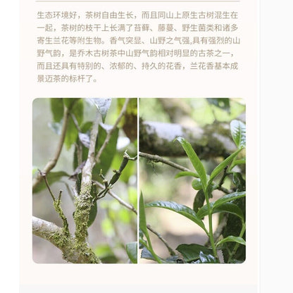 普洱茶，2016，景邁 京麦，357克。未经加工的