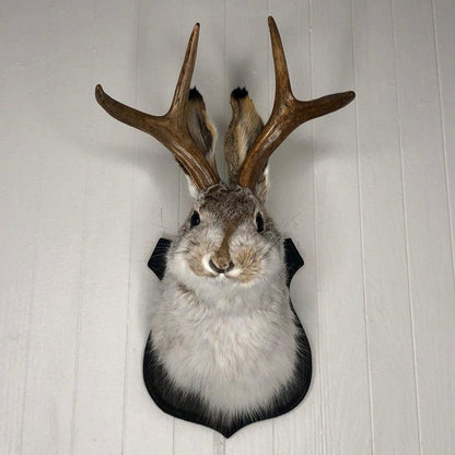 Statue Wall Mount Rabbit Head Hang Sculpture Animal Home New 2023 :))))