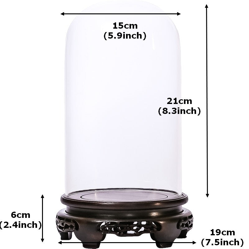 New Glass Display Dome Ebony Wood Base Case Cloche Globe Cover Protection Decor