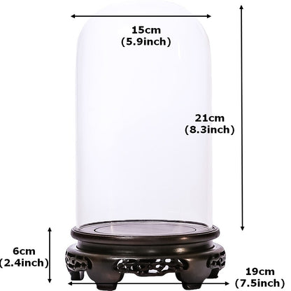 New Glass Display Dome Ebony Wood Base Case Cloche Globe Cover Protection Decor