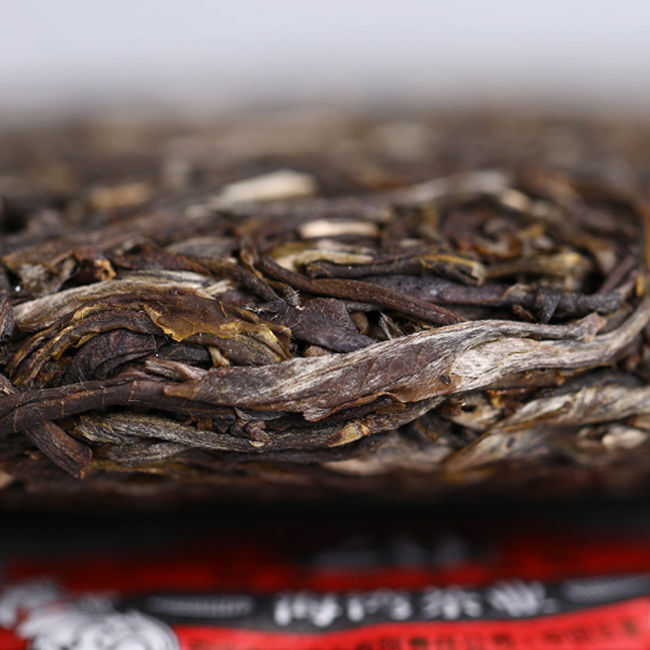 Remote Mountain Ancient Tree 2019 Haiwan Old Comrade Batch 191 Raw Puer Tea 500g