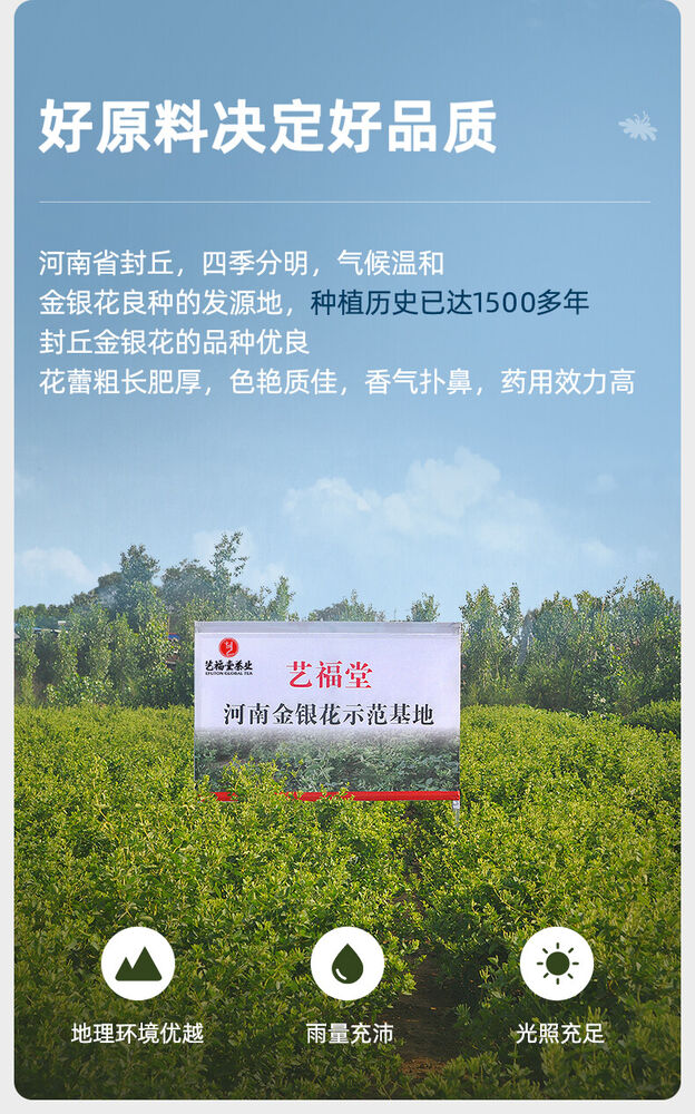 EFUTON Jin Yin Hua Honeysuckle Flower Tea Dried Flower Herbal Tea Loose Buds 60g