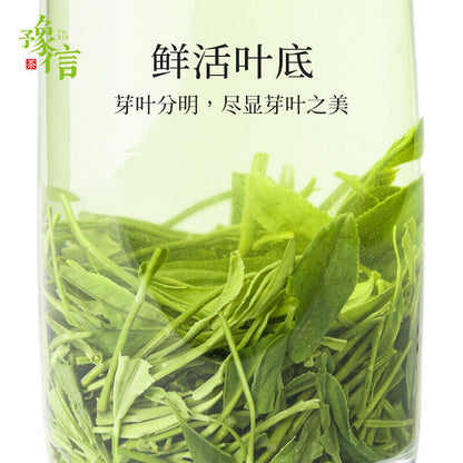 Xinyang Mao Jian 2022 new tea 豫信茶叶 信阳毛尖2022新茶礼铁盒装春茶绿茶