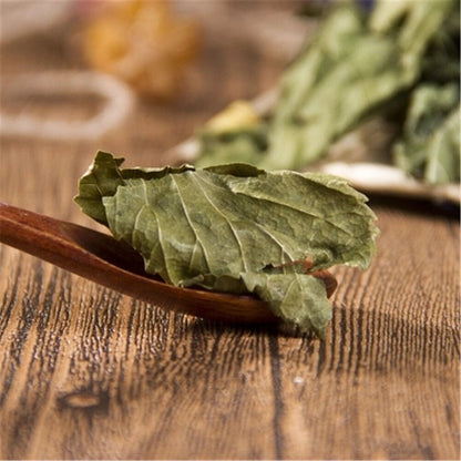 100% Natural Medicinal Chinese Herbs, Mulberry Loose Leaf, Dried Loose Leaf