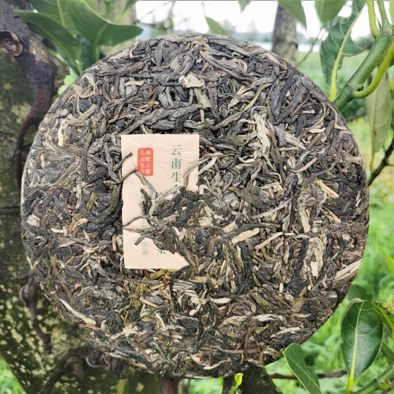 Yiwu Jiao Mu Pu'er Tea Yunnan Raw Tea Cake Primeval Forest Ecological Tea 12.6oz