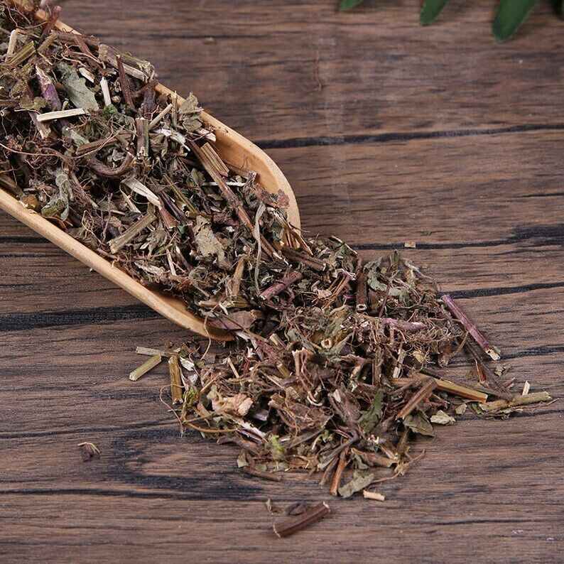 Organic Herbal Cliruo Podium Duanxueliu Clinopodium Chinense Great Quality