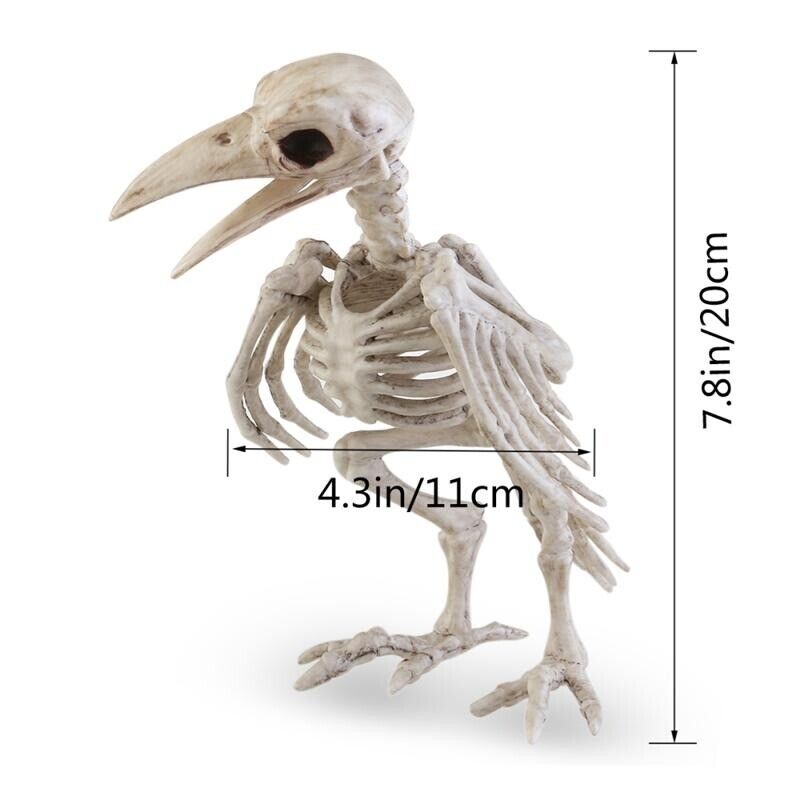 Animal Skeleton Bird Crow Raven Plastic Bones Horror Halloween Props 18x13x19cm