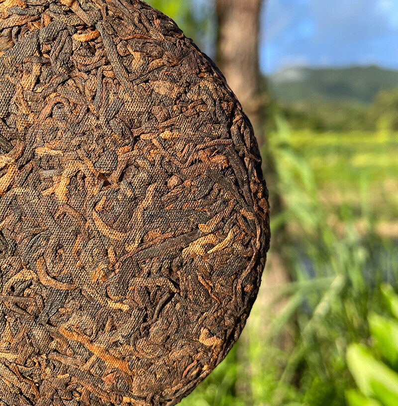 Yunnan Early Spring Yiwu Puerh Tea Ripe Tea Menghai Jiao Mu Tea Green Tea 100g