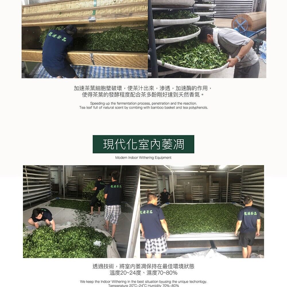 Qilai Mountain Specially Selected High Cold Green Oolong Tea,150g*4